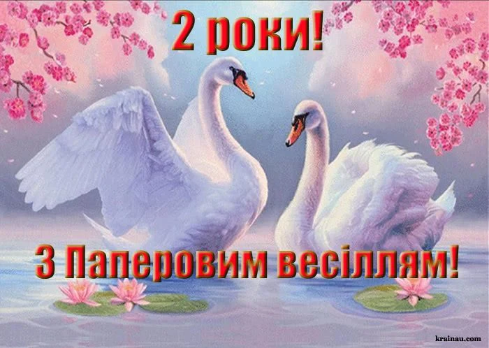 Два лебеді на воді з квітами та привітанням до річниці весілля.