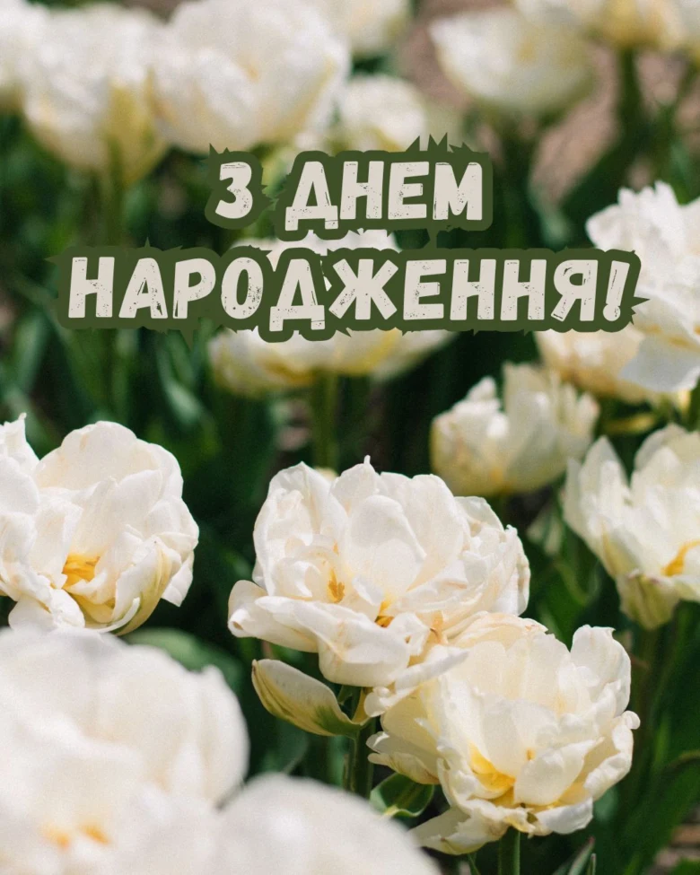 Білі квіти на фоні з привітанням з днем народження українською мовою.