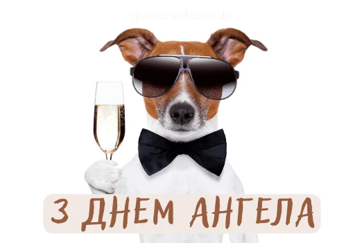 Стильний пес у окулярах та краватці з шампанським на свято.